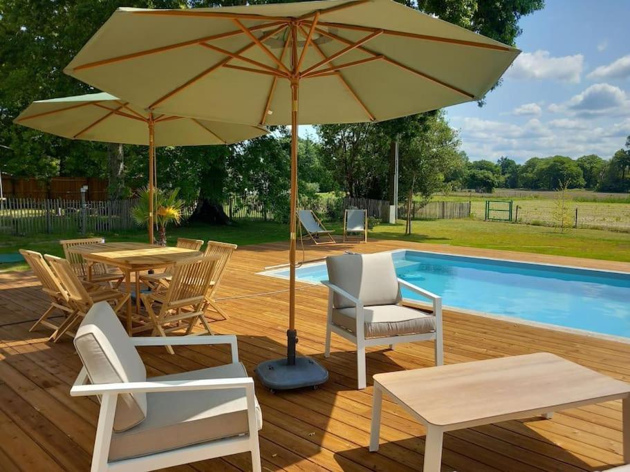 Maison Neuve Avec Piscine Chauffee, 4 Kms De Contis Plage Сен-Жулиен-ан-Борн Екстериор снимка